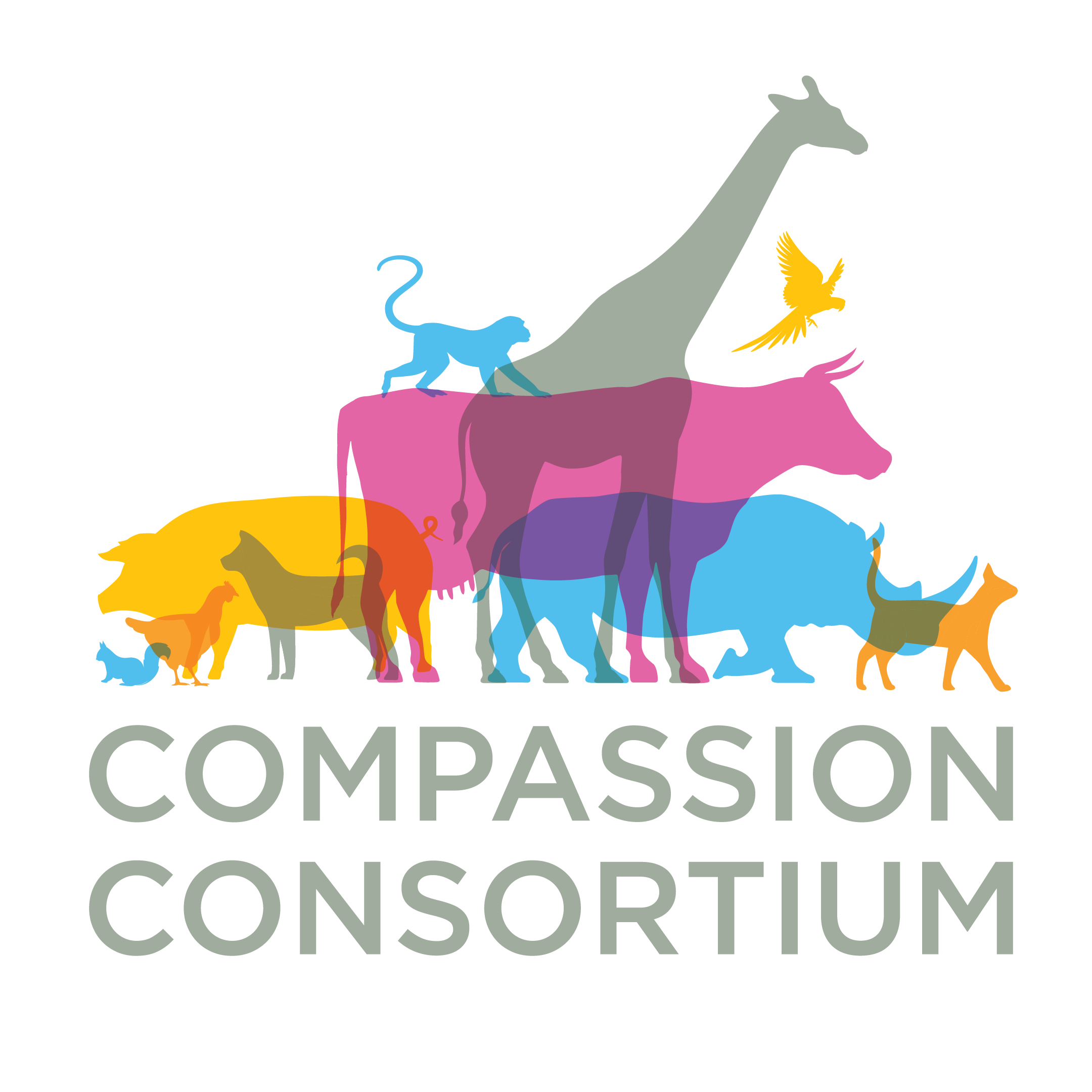 Compassion Consortium