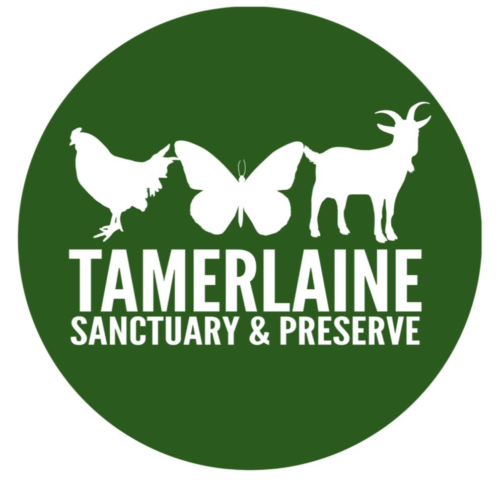 Tamerlaine Sanctuary & Preserve