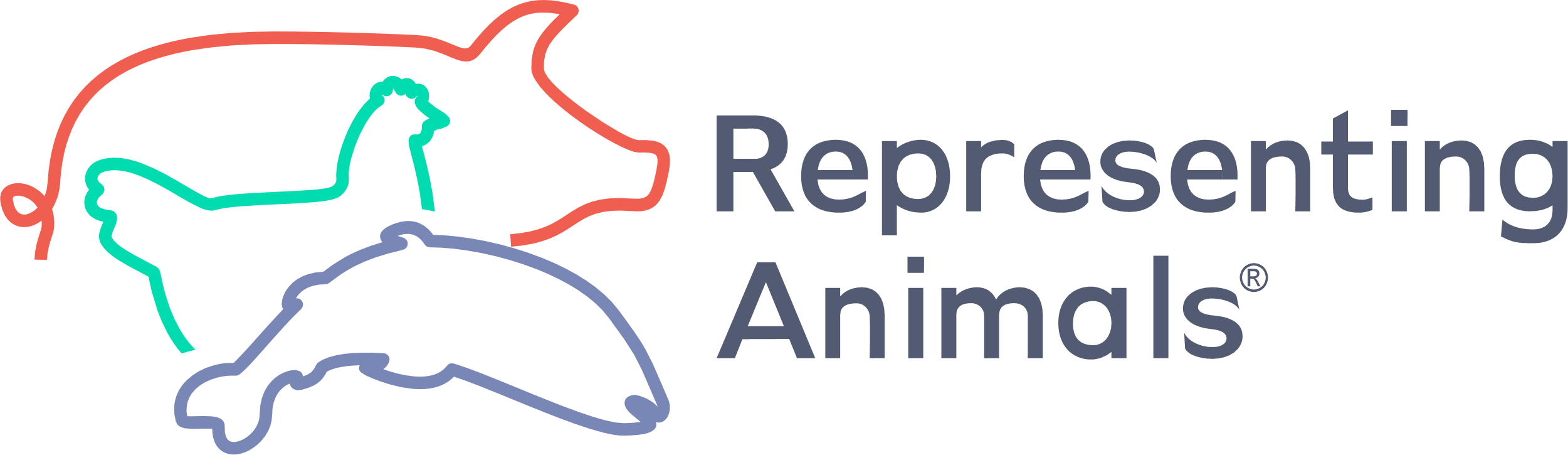Representing Animals